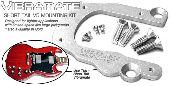 Vibramate V5-ST Adapter Kit for Bigsby B5 - Short Model for SG