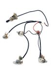 ALS Wiring Harness for Les Paul