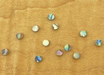 Dot Inlays - Set of 12 - Paua Abalone 3mm