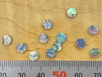 Dot Inlays - Set of 12 - Paua Abalone 5mm