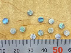 Dot Inlays - Set of 12 - Paua Abalone 4mm