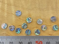 Dot Inlays - Set of 12 - Paua Abalone 6mm