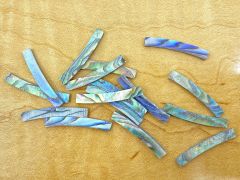 Rosette Strips - Set of 16 - Paua Abalone 3.2mm Curved